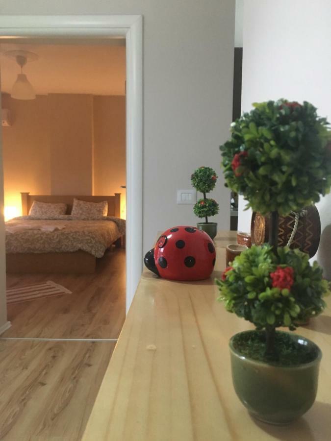 קורצ'ה Trako'S Home מראה חיצוני תמונה